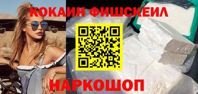стафф Кингисепп
