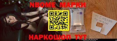 стафф Кингисепп