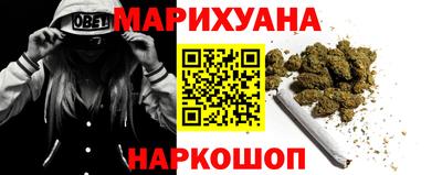стафф Кингисепп