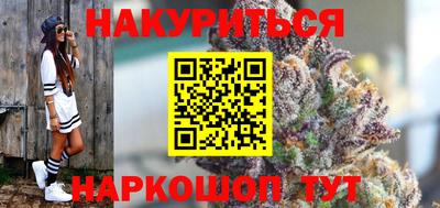 стафф Кингисепп