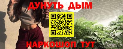 стафф Кингисепп