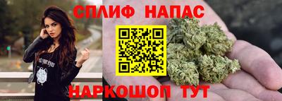 стафф Кингисепп