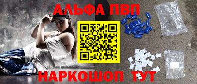 стафф Кингисепп