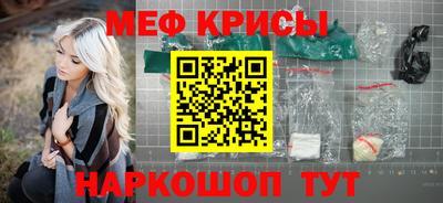 стафф Кингисепп